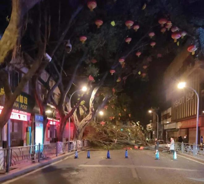 道路護(hù)欄網(wǎng)價(jià)格